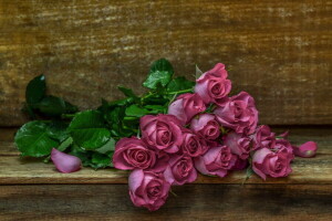 background, flowers, roses