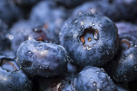 frutti di bosco, mirtilli, macro