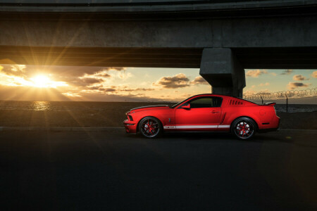 Aristo, carro, Ford, GT500, músculo, Mustang, vermelho, Shelby