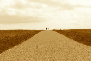 felhők, terület, horizont, pár, út