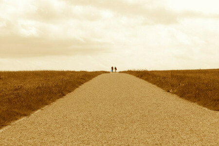 clouds, field, horizon, pair, road