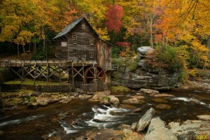 Herbst, Wald, Haus, Hütte, Fluss, Bäume, Wasser