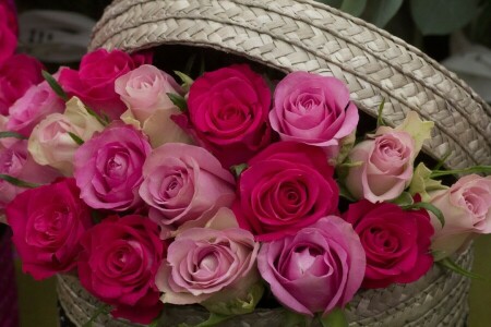 basket, buds, roses