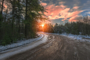 natura, strada, neve, alberi, inverno