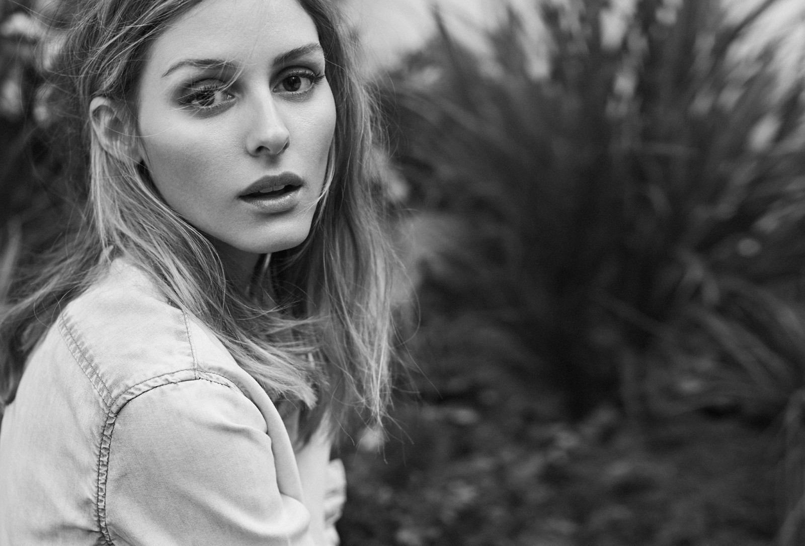 sort og hvid, model, Foto, det, Olivia Palermo, En Le