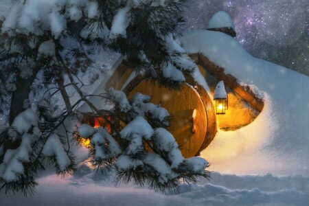 Andrey Chabrov, branches, dugout, housing, light, lights, nature, Needles