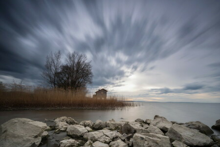 house, lake, landscape, reed