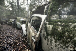 niebla, Máquina, musgo, chatarra