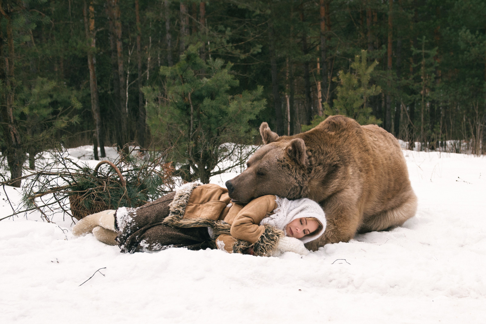 floresta, menina, inverno, Urso, dormir