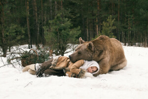 Bär, Wald, Mädchen, Schlaf, Winter