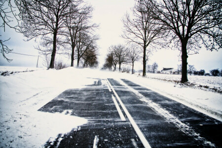 ramas, casa, líneas eléctricas, la carretera, nieve, arboles, invierno