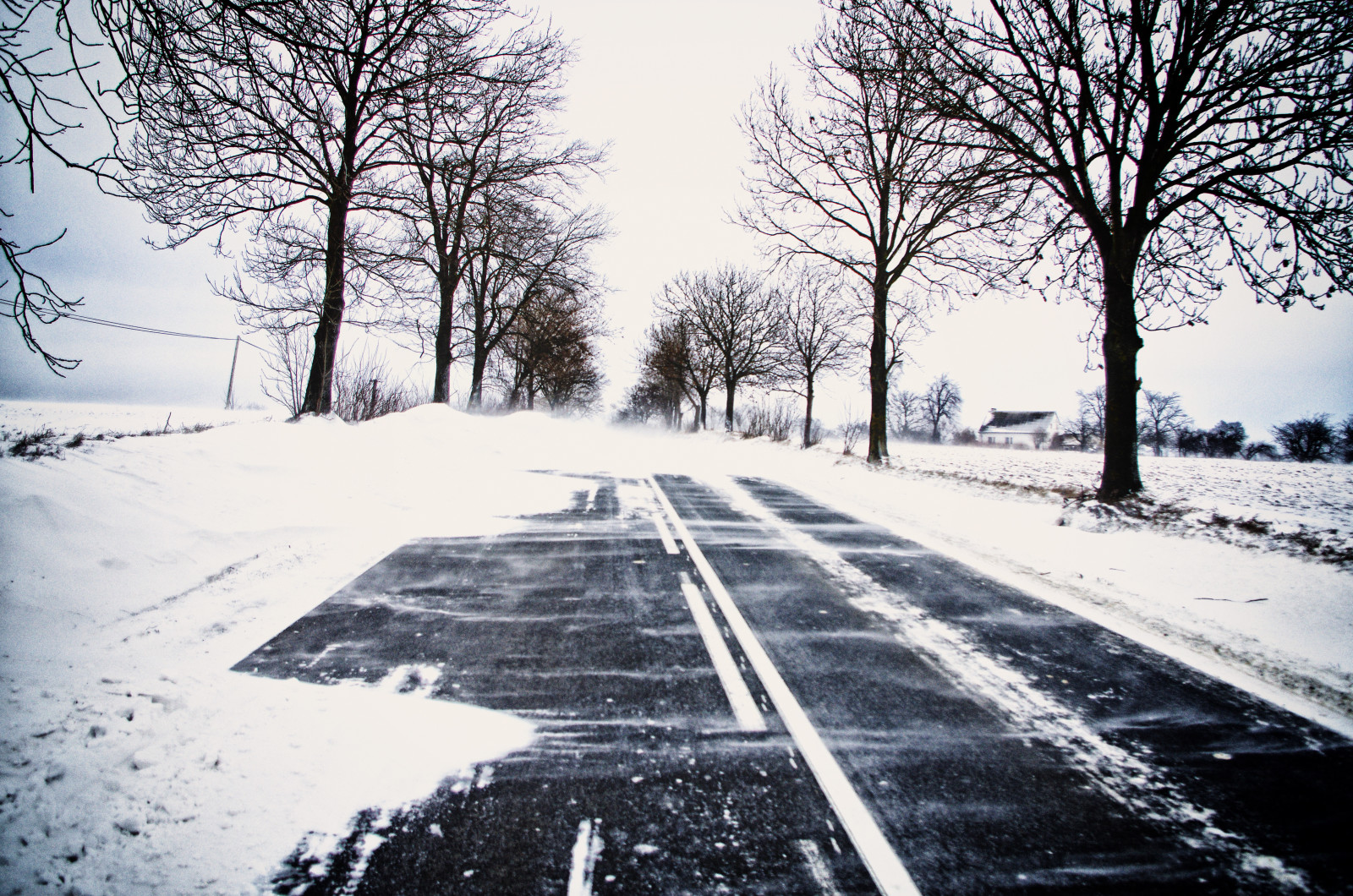 neve, rami, Casa, inverno, strada, alberi, linee elettriche