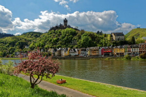 castello, nuvole, Cochem, Germania, erba, casa, paesaggio, Montagna