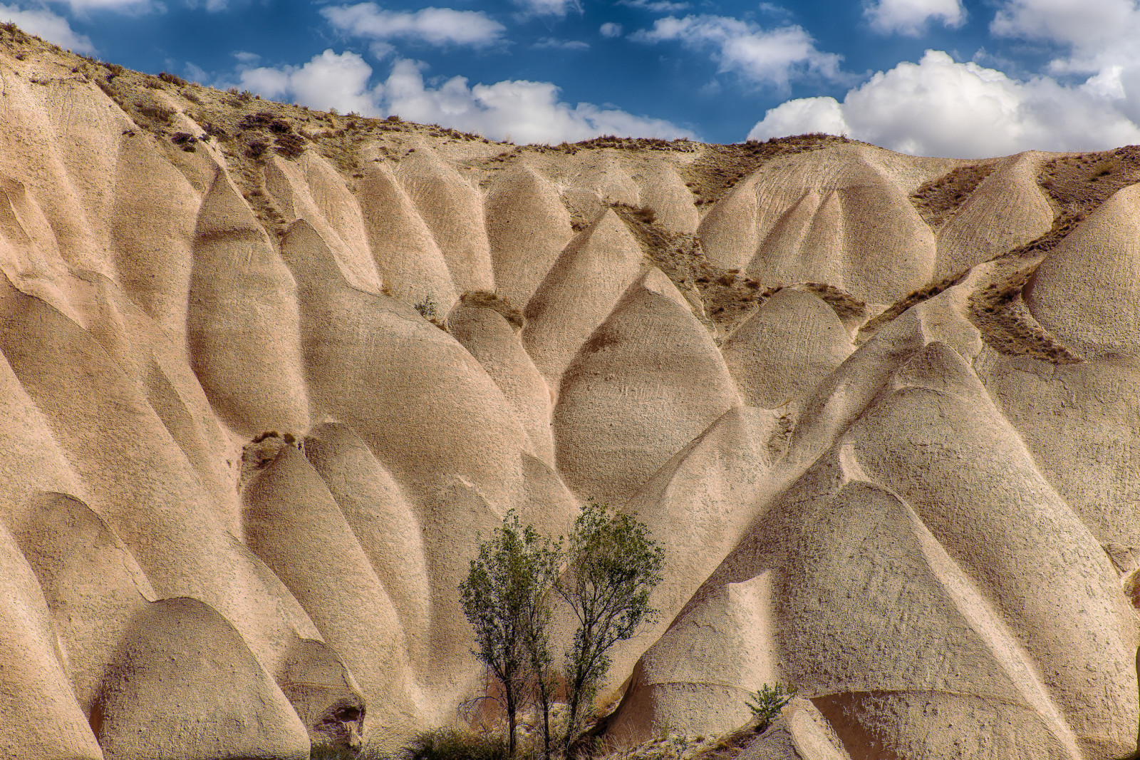 himmelen, träd, kullar, sand, Kalkon, Cappadocia