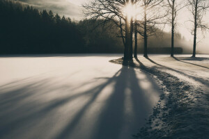 light, morning, river, winter