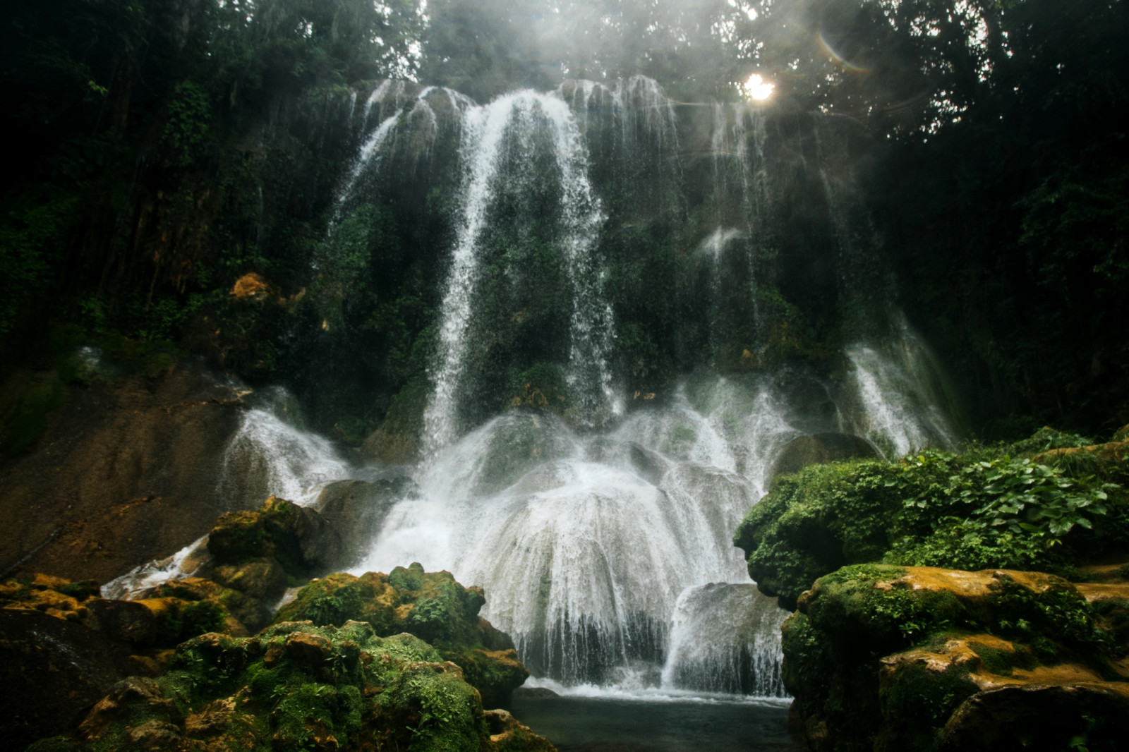 forest, glare, stones, trees, waterfall, moss, squirt, The rays of the sun