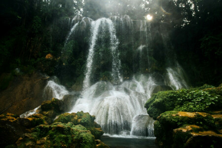 Cienfuegos, Cuba, forest, glare, moss, squirt, stones, The rays of the sun