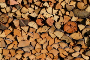 Hintergrund, Makro, Holz