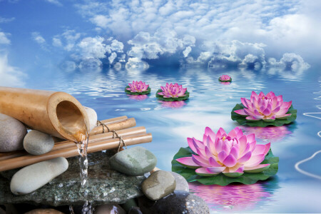 bamboo, clouds, flowers, Lotus, stones, the sky, water