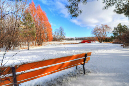 Bank, Brücke, Wolken, Blätter, Park, Schnee, der Himmel, Bäume