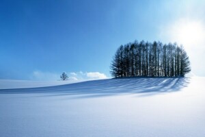 azul, Montaña, la carretera, cielo, nieve, Dom, arboles, invierno