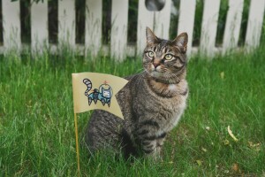 8k +, Astronaute, chat, drapeau, herbe, la boîte, la barrière, le costume