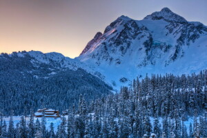 forêt, Montagne, la nature, neige, hiver