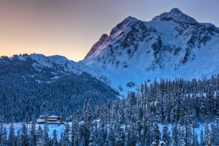 Woud, Berg, natuur, sneeuw, winter