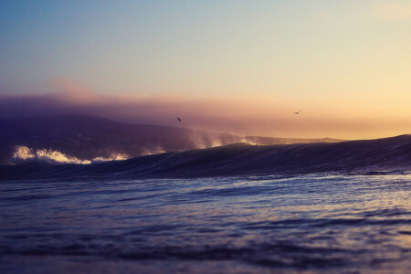 birds, hill, sea, squirt, sunset, wave