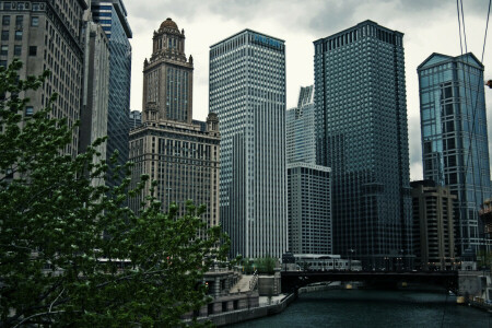 centrum, Chicago, Illinois, skyskrabere, himlen, USA