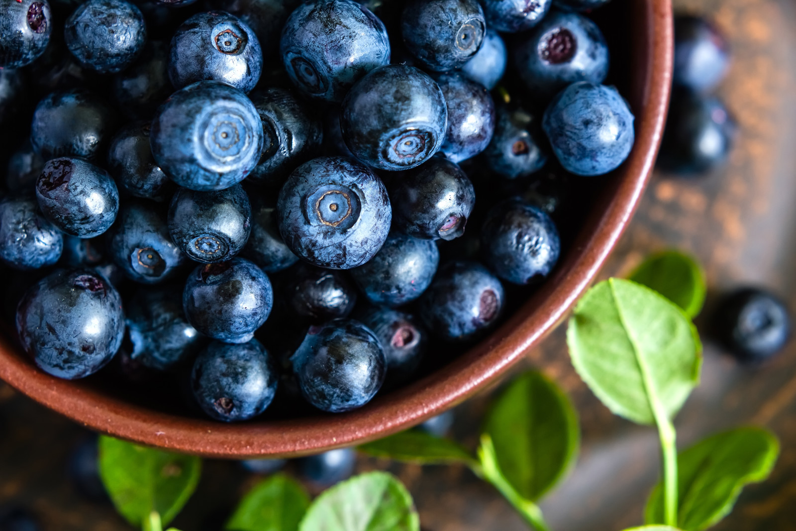 Beeren, frisch, Blaubeeren, Blaubeere, Schüssel