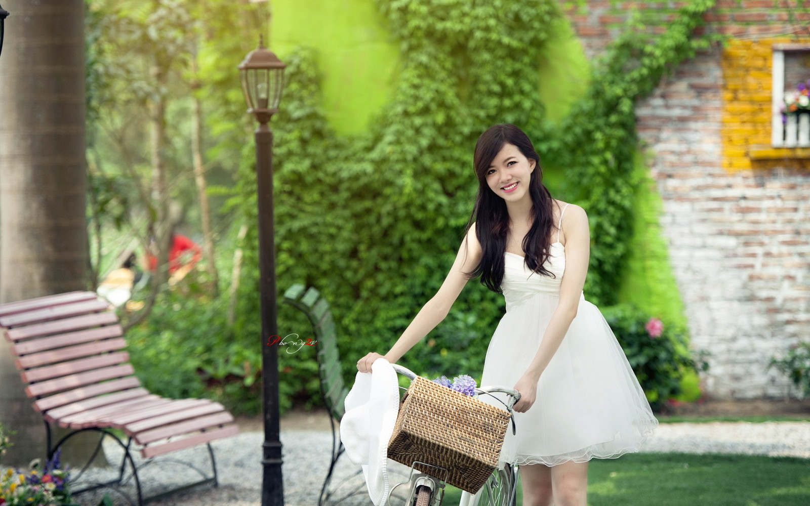 ragazza, bicicletta, asiatico