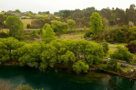 home, New Zealand, river, road, shore, trees, Waikato, Waikato River