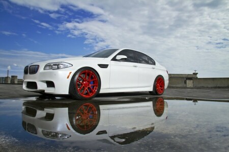 BMW, F10, puddle, reflection, white