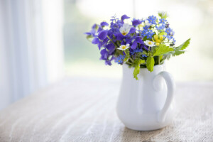 fleurs, été, table, vase