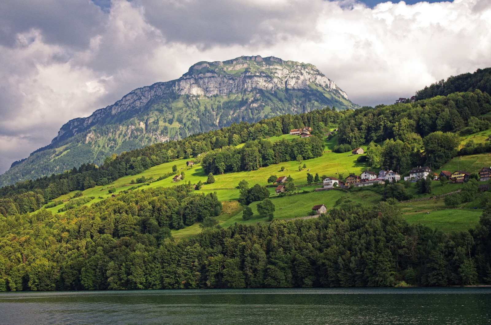 Svájc, tó, fák, zöldek, hegyek, itthon, lejtő, Luzerni-tó