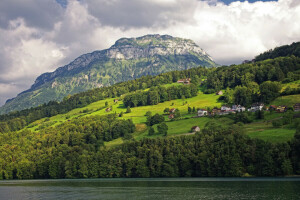 greens, home, lake, Lake Lucerne, mountains, slope, Switzerland, trees