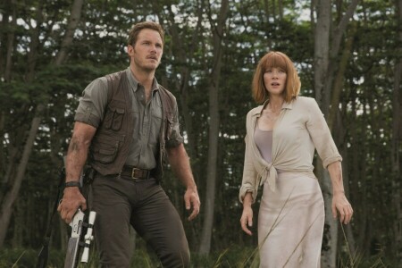 Bryce Dallas Howard, Chris Pratt, Kurgu, çerçeve, orman, Jurassic World, silahlar