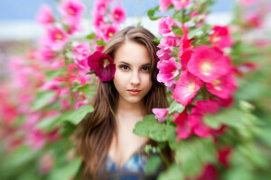 bruine ogen, gezicht, bloemen, meisje, haar-, kijken