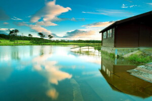 bosque, casa, río