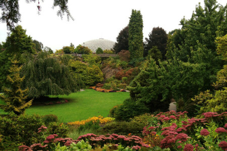 Kanada, květiny, Zahrada, glade, tráva, zelenina, Of Discharge Nozzles Gardens, křoví