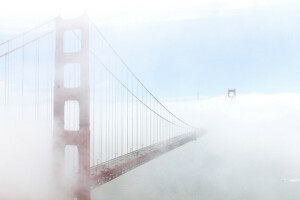 Puente, niebla, San Francisco