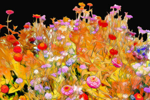 fundo, canteiro de flores, flores, Jardim, linha, pintura, pétalas, Renderização