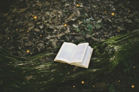 book, forest, moss, Page, tree