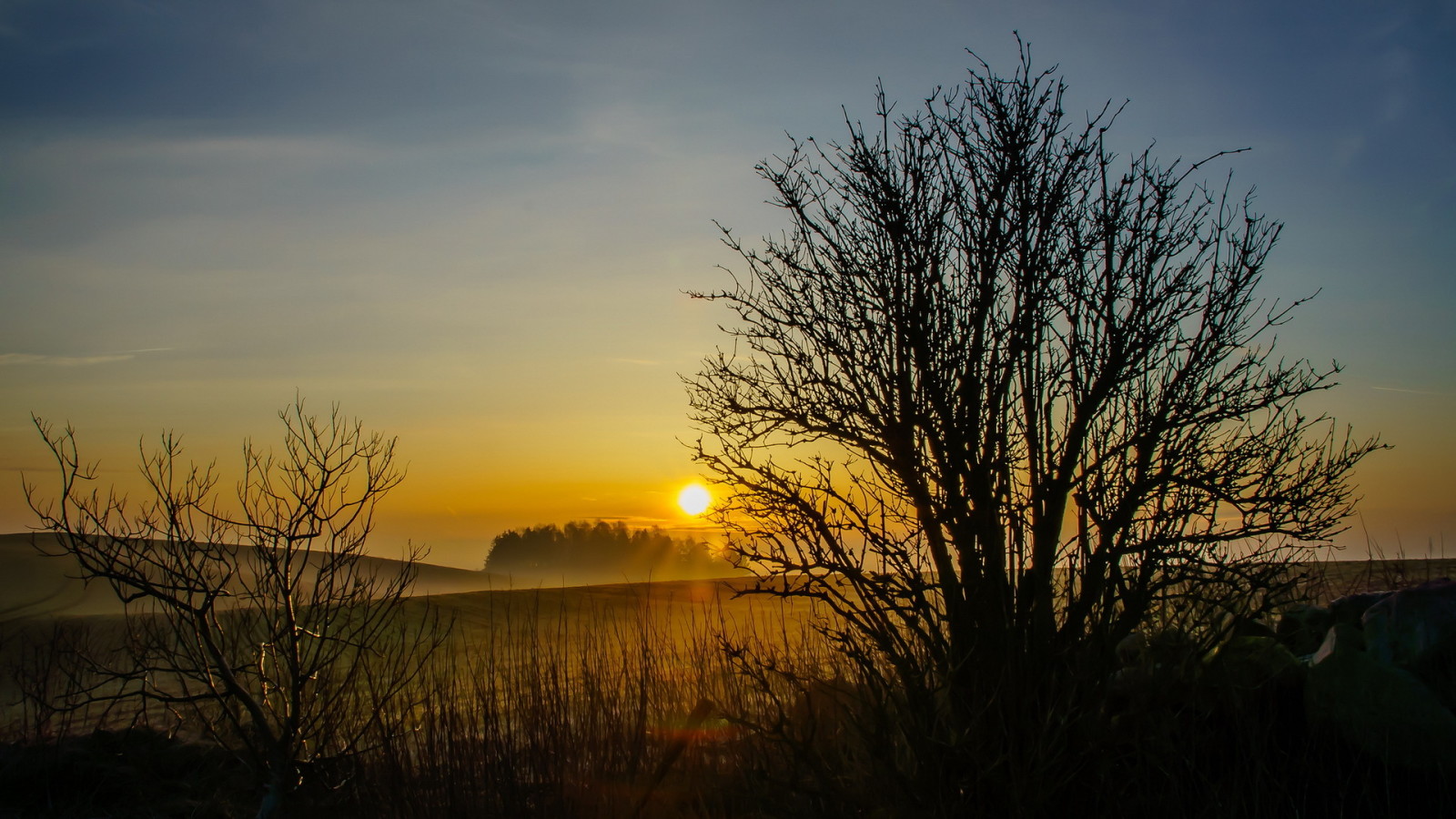 sunset, landscape, field