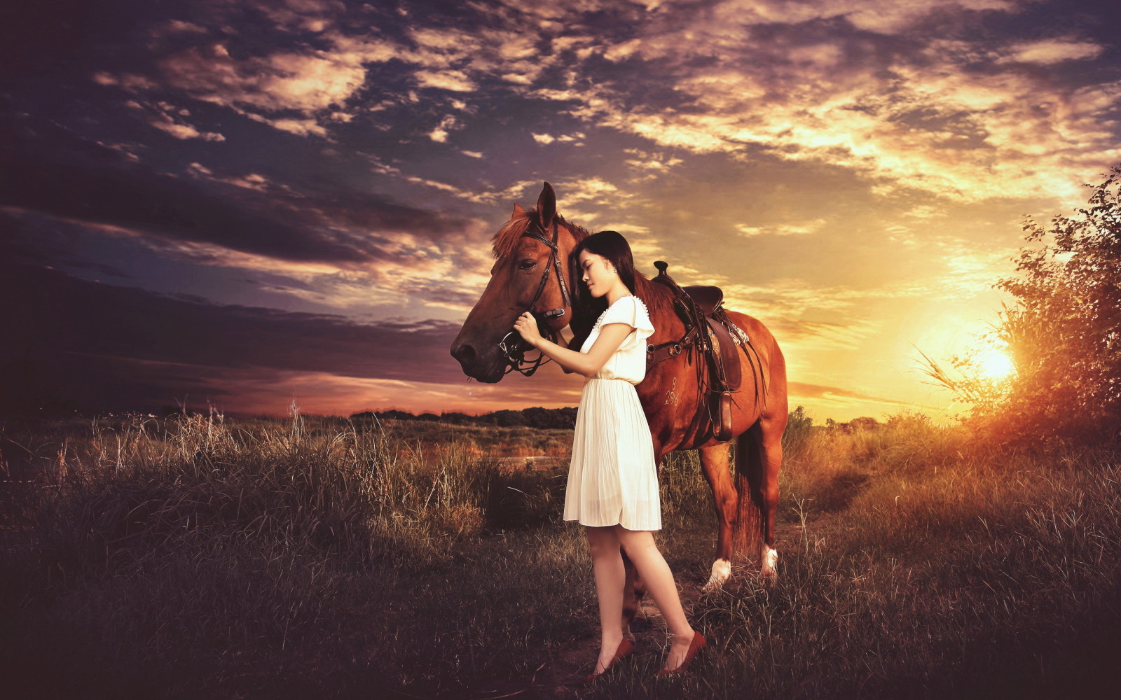 mood, girl, sunset, horse