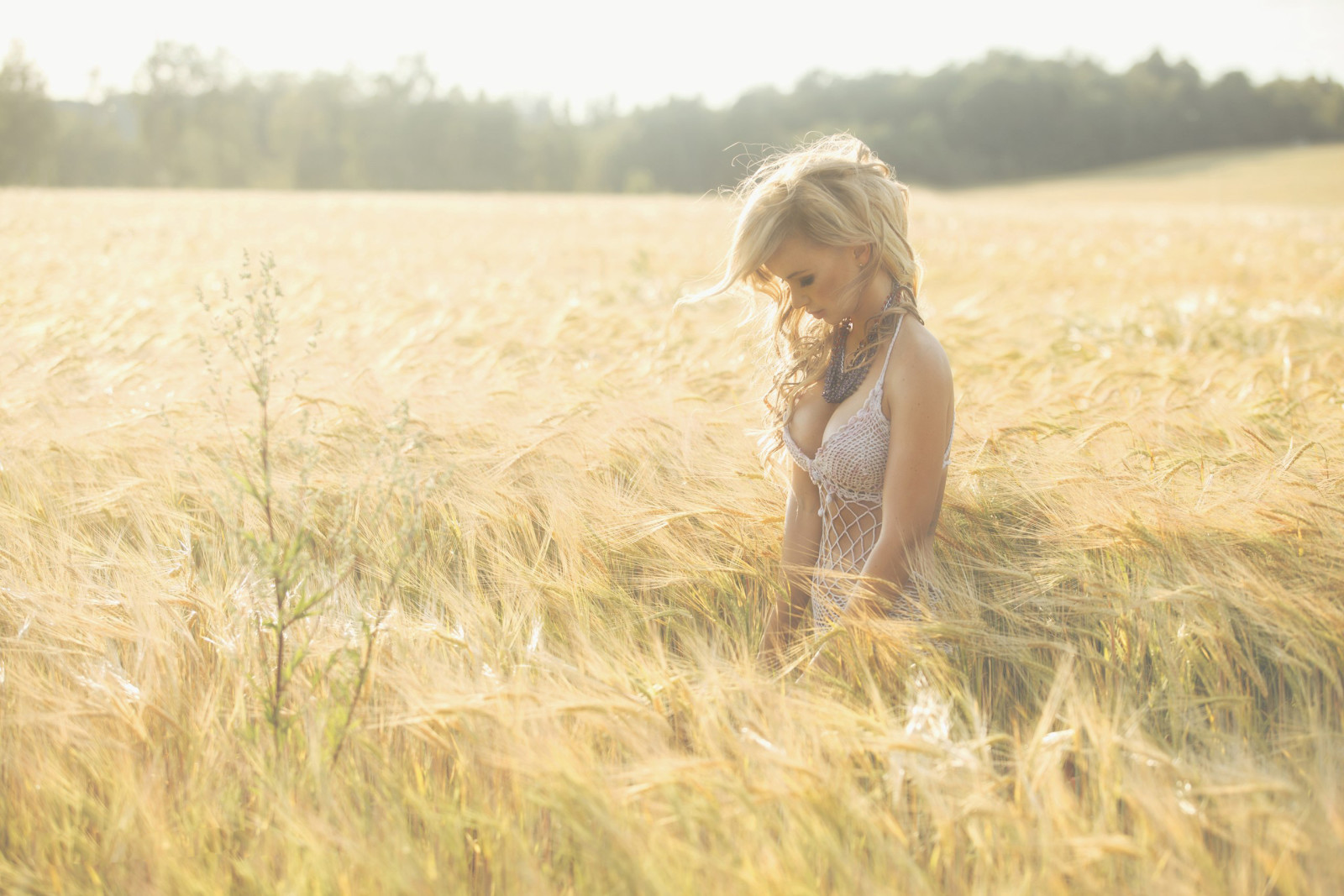 ragazza, bionda, campo, prato, Grano, Olesya