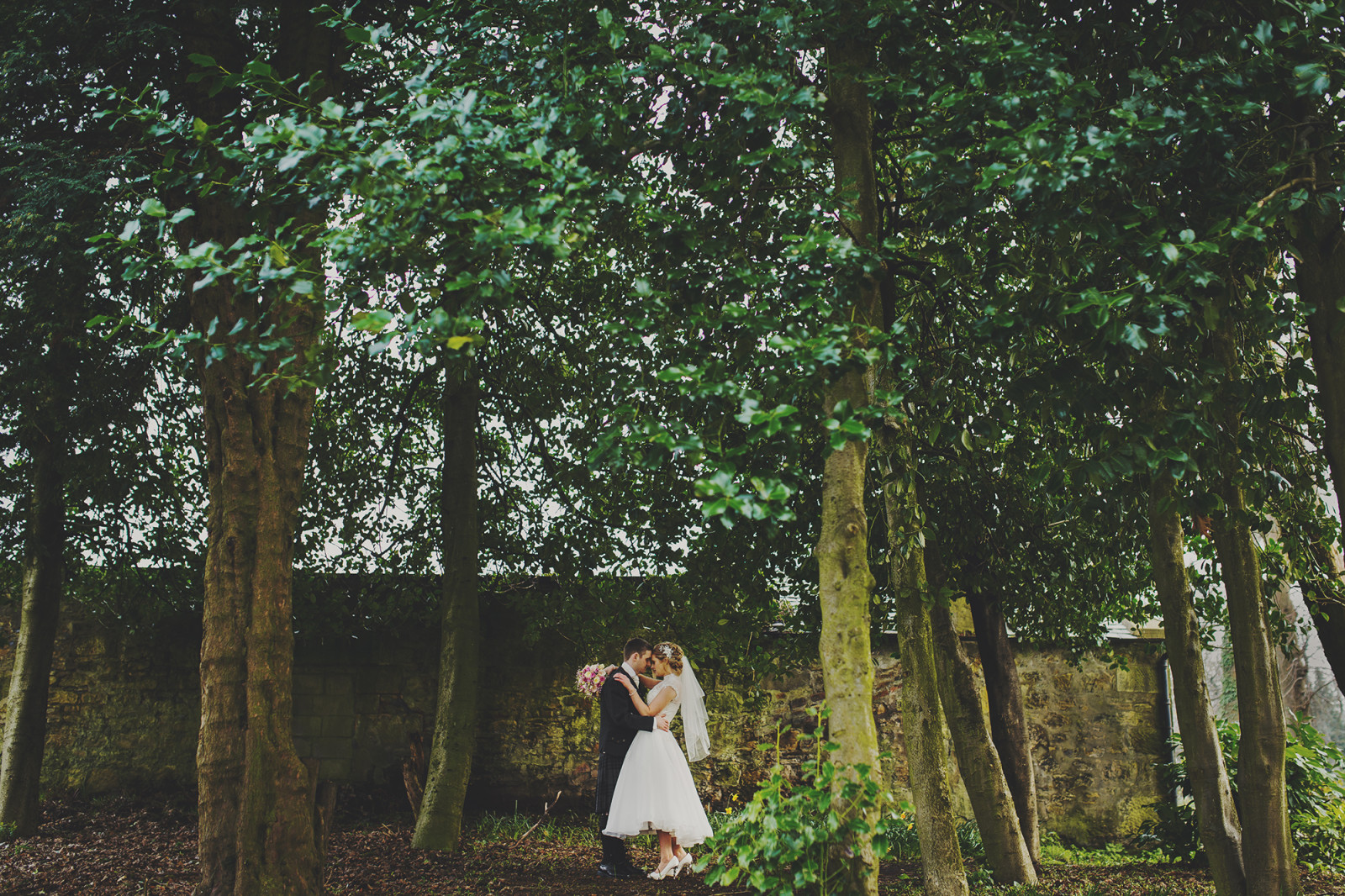 Bäume, Schottland, Hochzeit, die Braut, der Bräutigam