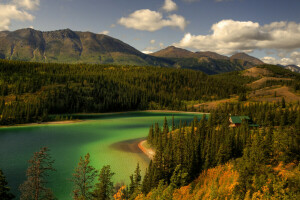 nubes, bosque, lago, montañas, el cielo, arboles