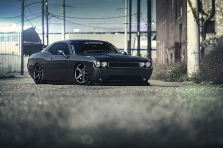 black, Challenger, Dodge, Front, Stance